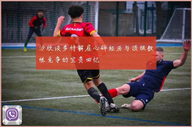 沙欣谈多特解雇心碎经历与顶级教练竞争的宝贵回忆