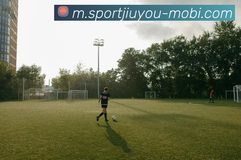 九游娱乐平台生态图