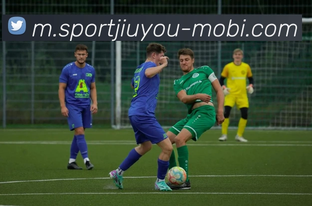 九游娱乐APP 封面图